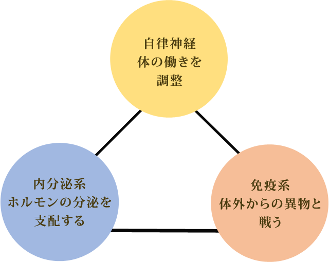 自律神経体の働きを調整